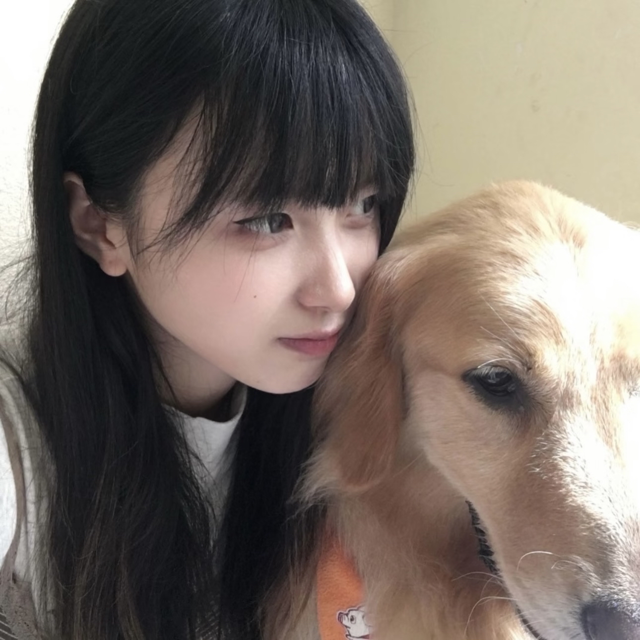 天美亚洲精彩影视平台V.2026.02.23.9670截图5